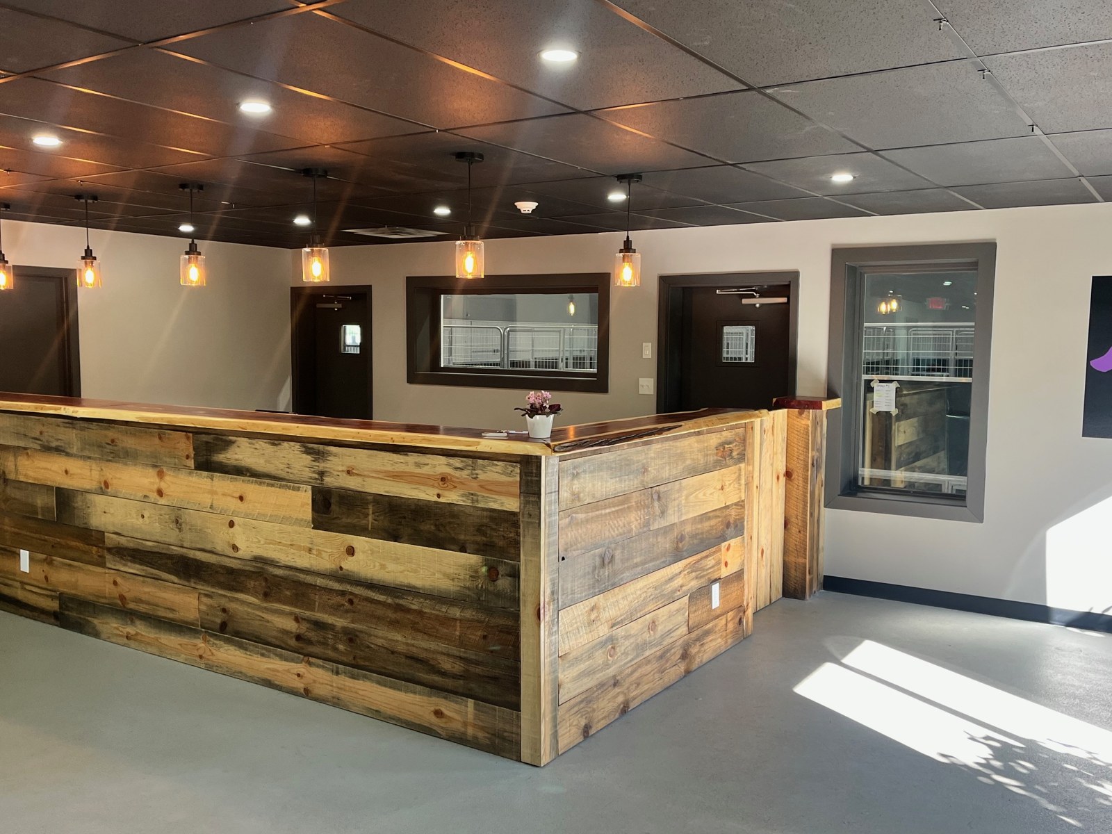 Wood reception desk at Carver Canines